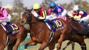 【競馬壁紙】ジェンティルドンナ｜パソコン(PC)・スマホ(iPhoneXS/XR対応)