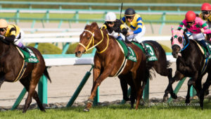 【競馬壁紙】レッツゴードンキ｜パソコン(PC)・スマホ(iPhoneXS/XR対応)