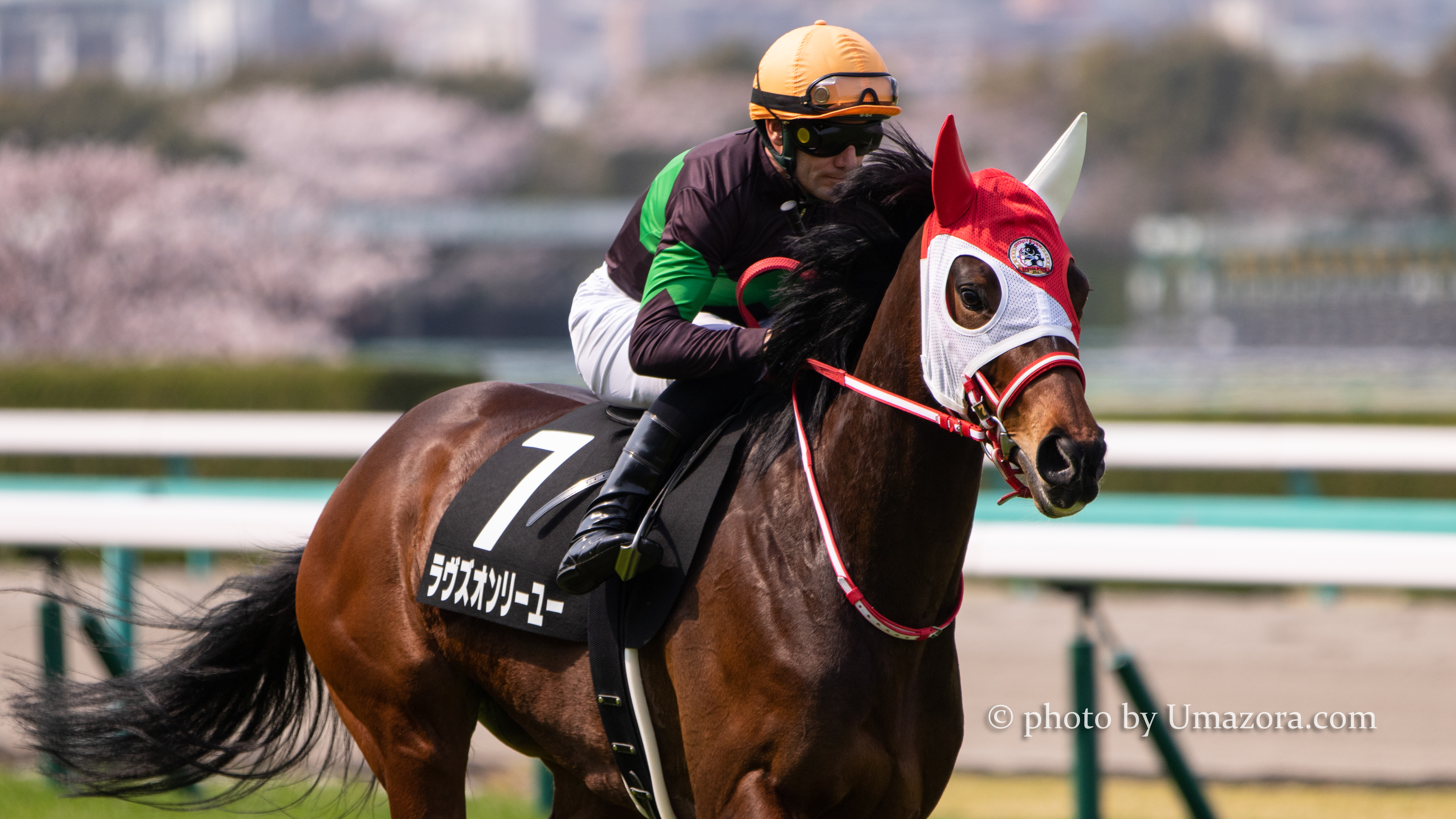 競馬壁紙 ラヴズオンリーユー パソコン Pc スマホ Iphonexs Xr対応