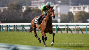 【競馬壁紙】サトノルークス｜パソコン(PC)・スマホ(iPhoneXS/XR対応)