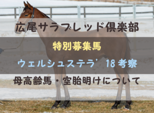 【一口馬主】ウェルシュステラ'18 募集馬評価|母高齢馬と空胎明け考察