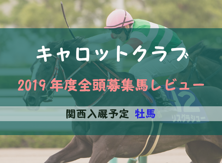 Pog2018 2019 グリーンファーム愛馬会注目募集馬１０頭の血統 評価 評判を紹介 競馬情報サイト