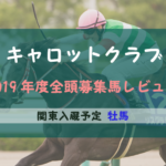 【一口馬主】2019年度 キャロットクラブ 関東牡馬 募集馬評価・レビュー