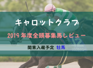 【一口馬主】2019年度 キャロットクラブ 関東牡馬 募集馬評価・レビュー