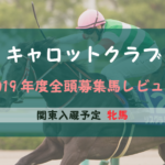【一口馬主】2019年度 キャロットクラブ 関東牝馬 募集馬評価・レビュー