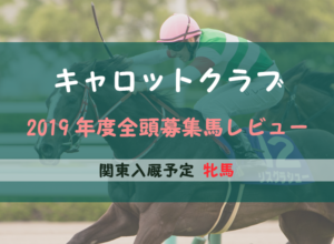 【一口馬主】2019年度 キャロットクラブ 関東牝馬 募集馬評価・レビュー