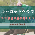 【一口馬主】2019年度 キャロットクラブ 地方入厩馬 募集馬評価・レビュー