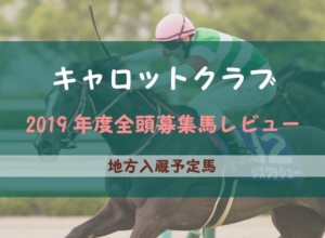 【一口馬主】2019年度 キャロットクラブ 地方入厩馬 募集馬評価・レビュー