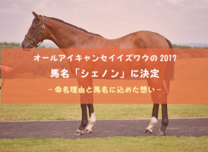 【ワラウカド】馬名「シェノン」に込めた想い | オールアイキャンセイイズワウの2017