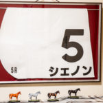 【保存方法】命名馬のゼッケン到着。競馬ゼッケン専用額購入！
