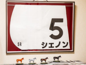 【保存方法】命名馬のゼッケン到着。競馬ゼッケン専用額購入!