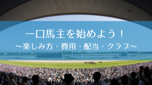 【一口馬主】とは?|費用・賞金(配当)・楽しみ方・クラブの選び方まとめ