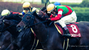 【競馬壁紙】エポカドーロ|パソコン(PC)・スマホ(iPhoneXS/XR対応)