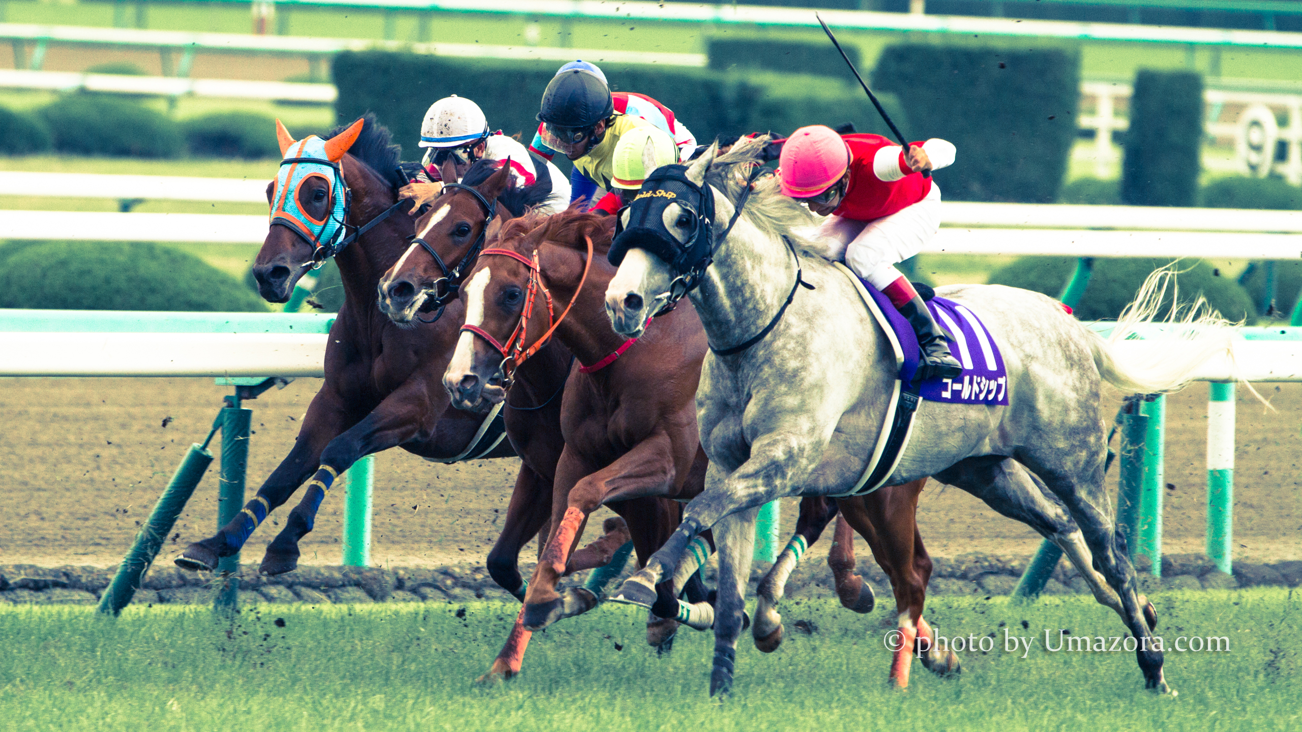 競馬壁紙】ゴールドシップ｜PC(パソコン)・スマホ・タブレット画像