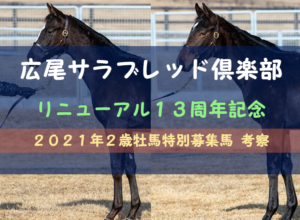 【一口馬主】2021年2歳牡馬 広尾TC13周年記念特別募集馬 評価・レビュー