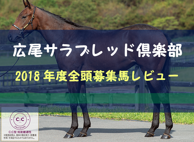 一口馬主 2018年度 広尾サラブレッド倶楽部 全頭評価 募集馬レビュー