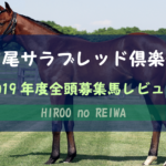 【一口馬主】2019年度 広尾サラブレッド倶楽部 全頭評価・募集馬レビュー