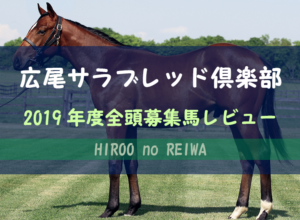 【一口馬主】2019年度 広尾サラブレッド倶楽部 全頭評価・募集馬レビュー