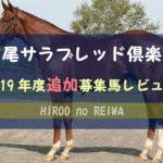 【一口馬主】2019年度 広尾サラブレッド倶楽部 追加募集馬評価・レビュー