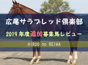 【一口馬主】2019年度 広尾サラブレッド倶楽部 追加募集馬評価・レビュー