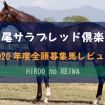 【一口馬主】2020年度 広尾サラブレッド倶楽部 募集馬評価・レビュー