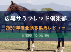 【一口馬主】2020年度 広尾サラブレッド倶楽部 募集馬評価・レビュー