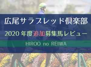 【一口馬主】2020年度 広尾サラブレッド倶楽部 追加募集馬評価・レビュー