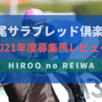非公開: 【一口馬主】2021年度 広尾サラブレッド倶楽部 募集馬評価・レビュー