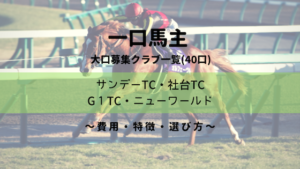 【一口馬主】大口募集クラブ比較|特徴・評価 ・おすすめ・選び方|40口