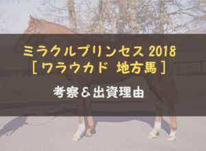 【一口馬主】地方馬初出資 ミラクルプリンセスの2018 ワラウカド