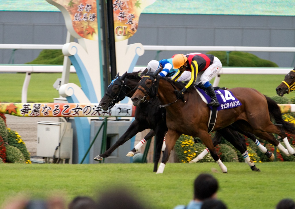 競馬写真】2012年 第17回秋華賞(GI) ジェンティルドンナ – 【馬