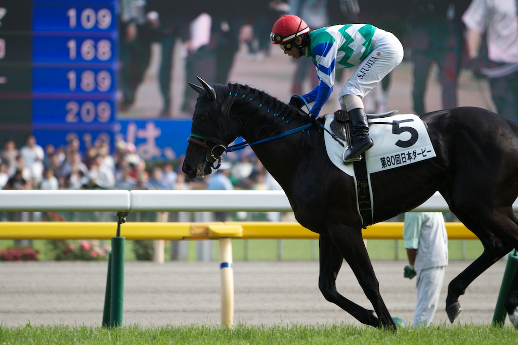 【競馬写真】2013年 第80回東京優駿/日本ダービー(GI) キズナ