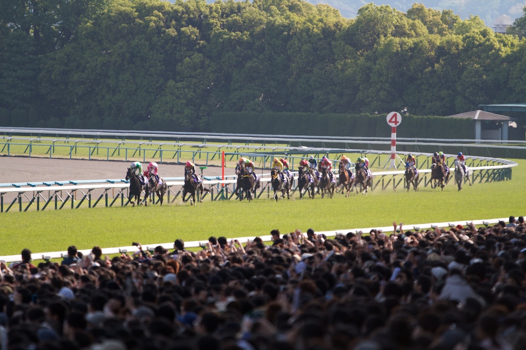 競馬写真 13年 第147回天皇賞 春 Gi フェノーメノ