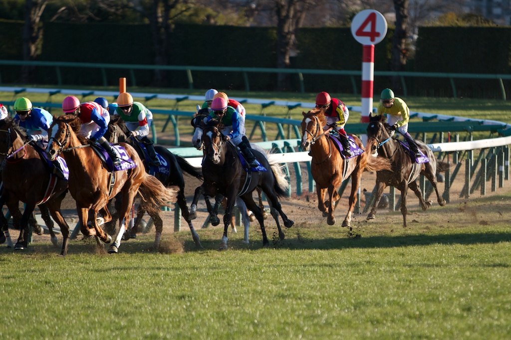 競馬写真 13年 第58回有馬記念 Gi オルフェーヴル