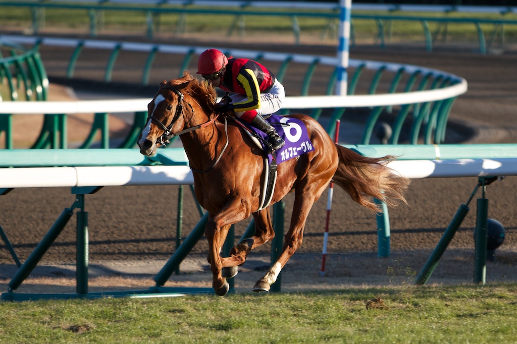 競馬写真 13年 第58回有馬記念 Gi オルフェーヴル