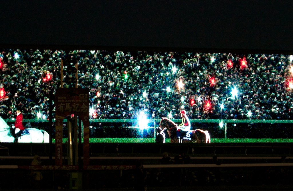 競馬写真】2013年 第58回有馬記念(GI) オルフェーヴル – 【馬空  