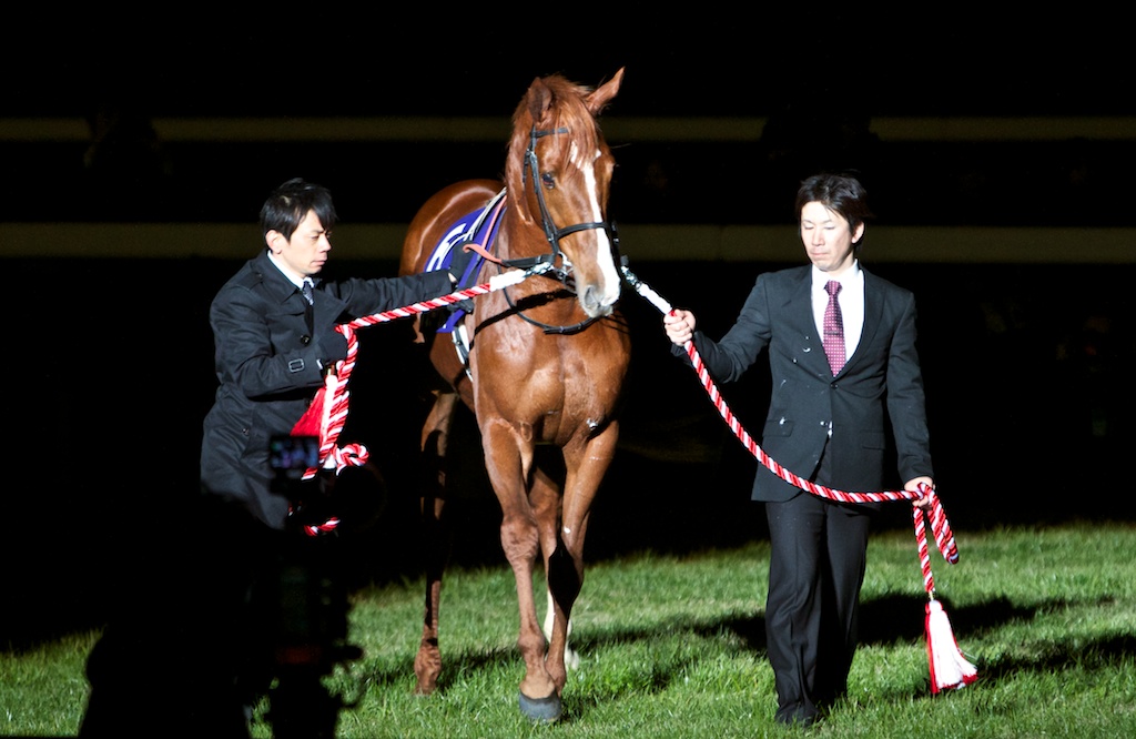 競馬写真 13年 第58回有馬記念 Gi オルフェーヴル