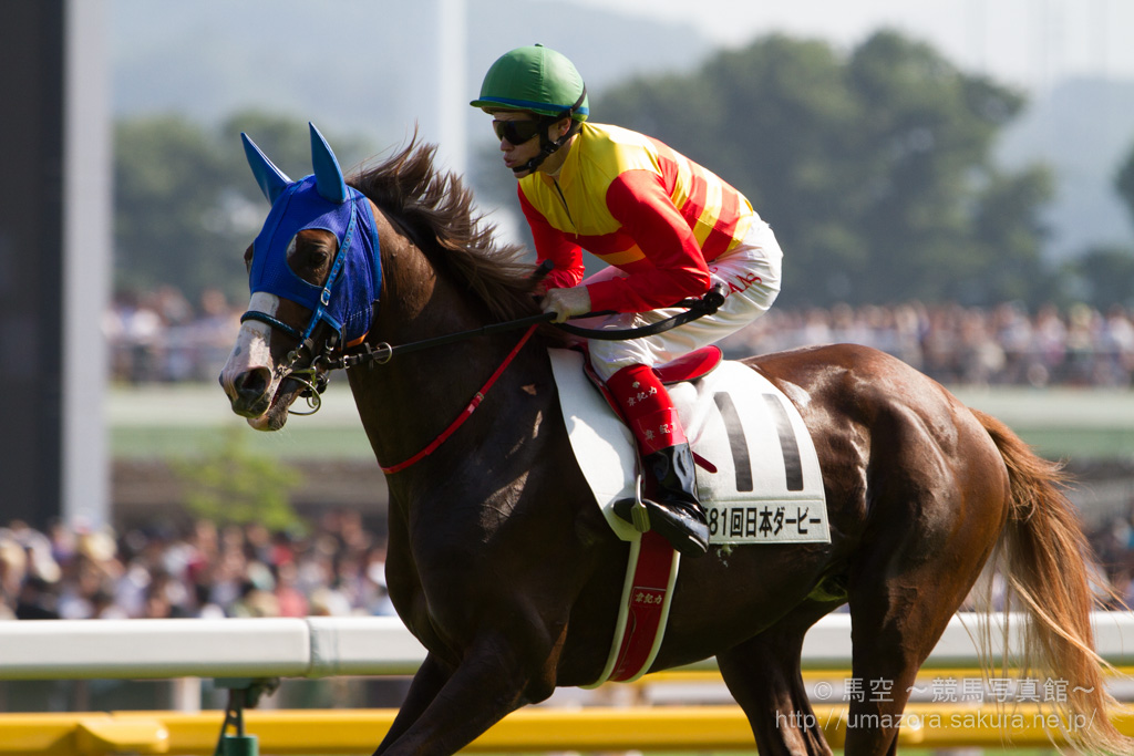 競馬写真】2014年 第81回東京優駿/日本ダービー(GI) ワンアンド - アイドル