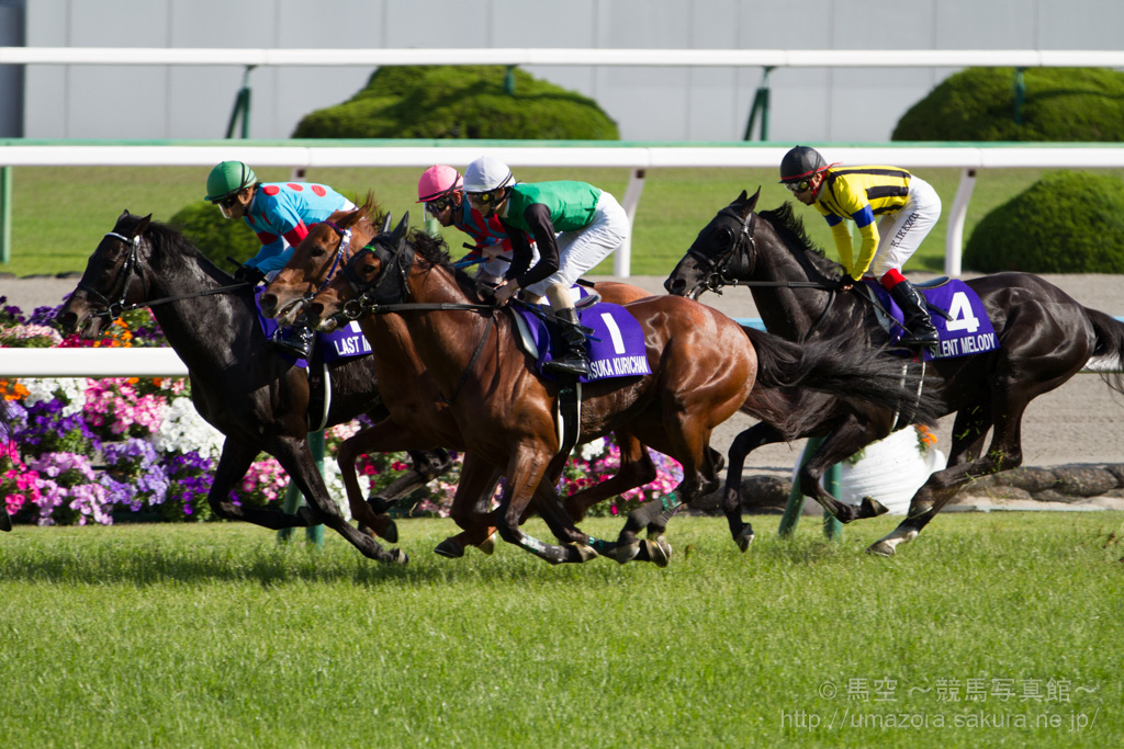 競馬写真】2014年 第149回天皇賞・春(GI) フェノーメノ – 【馬空  