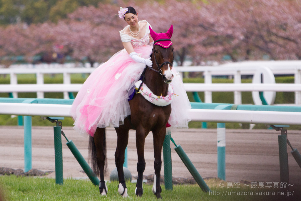 競馬写真 14年 第74回桜花賞 Gi ハープスター