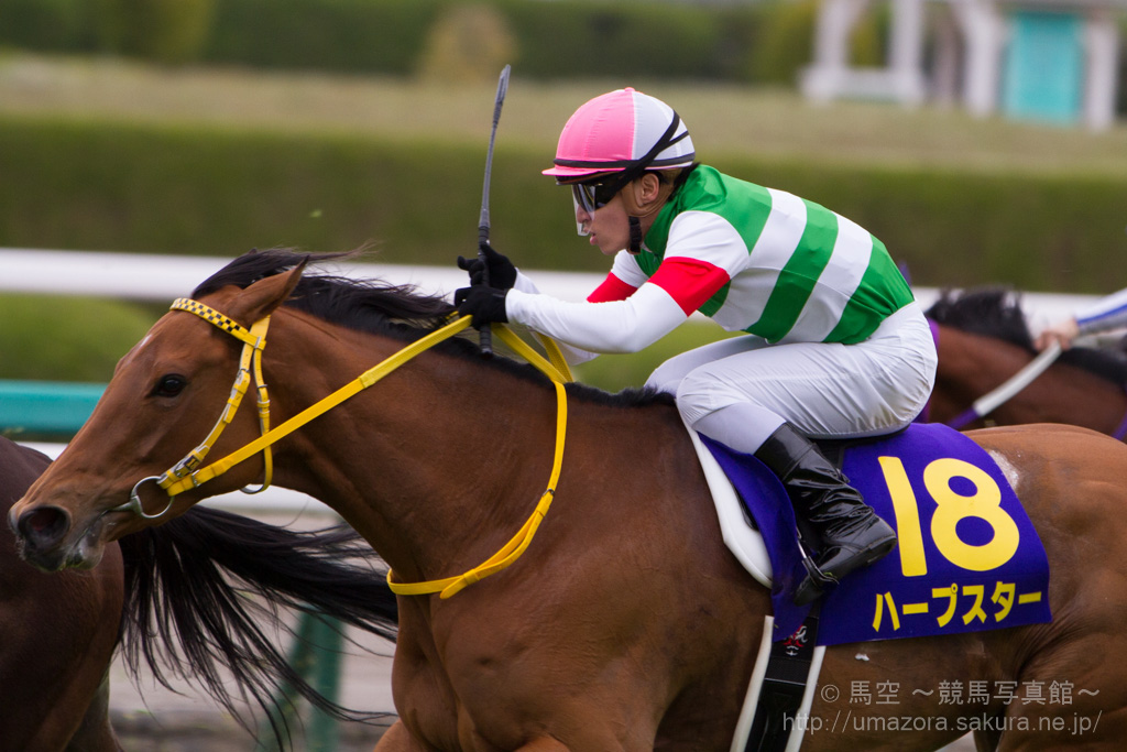 最終価格】【廃盤・レア品】競馬 ハープスター 2014桜花賞 2014 桜花賞 