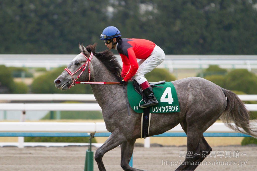 競馬写真 15年 第49回シンザン記念 Giii グァンチャーレ