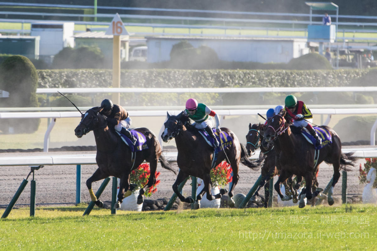 競馬写真】2015年 第76回菊花賞(GI) キタサンブラック – 【馬空-UMAZORA-】競馬写真・オリジナル競馬壁紙・一口馬主ブログ