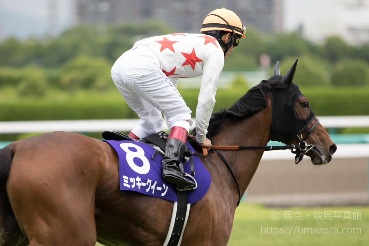 競馬写真】2017年 第58回宝塚記念(GI) サトノクラウン