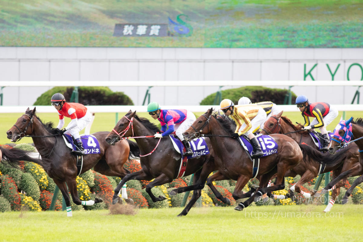 競馬写真】2018年 第23回秋華賞(GI) アーモンドアイ – 【馬空