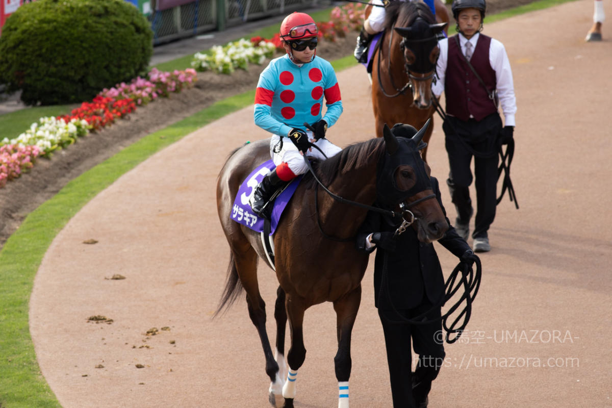 競馬　アーモンドアイ　秋華賞　コンプリート　3体 秋華賞馬体診断】アーモンドアイ/馬体診断/競馬・レース