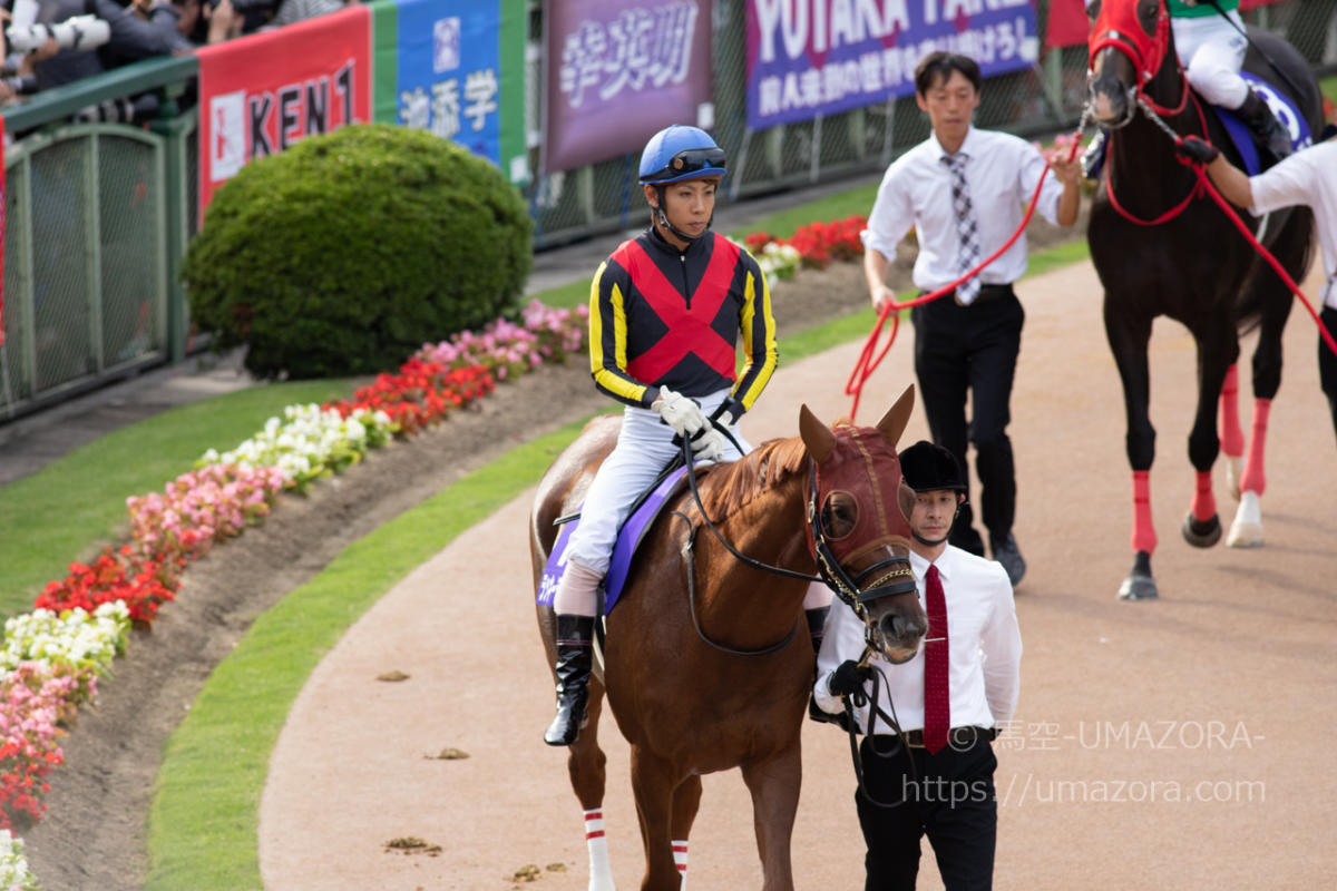競馬　アーモンドアイ　秋華賞　コンプリート　3体 sddefault.jpg