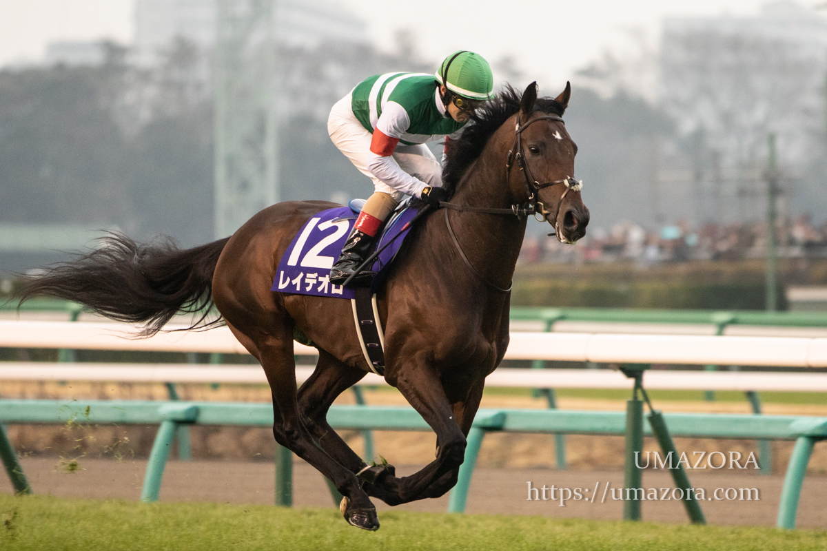 競馬写真】2018年 第63回有馬記念(GI) ブラストワンピース – 【馬空-UMAZORA-】競馬写真・オリジナル競馬壁紙・一口馬主ブログ