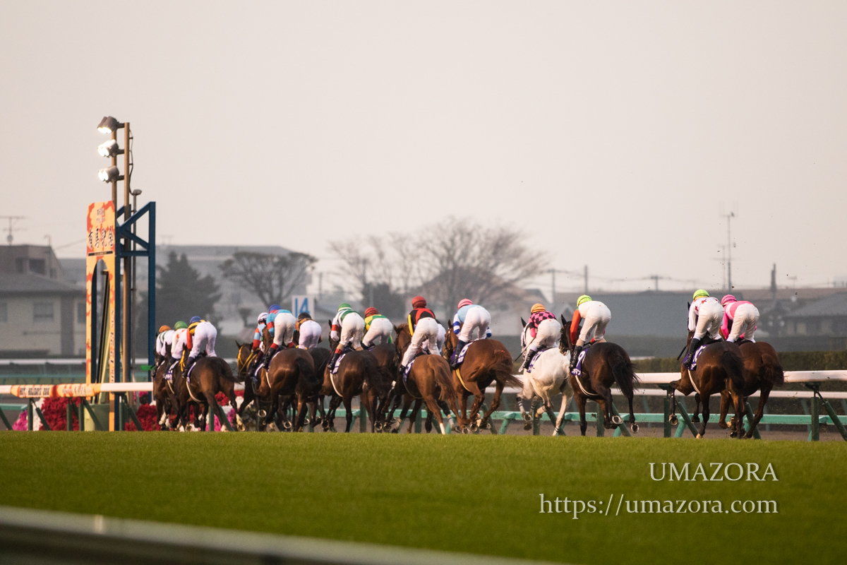第63回有馬記念 回顧 | 競馬 研究ニュース