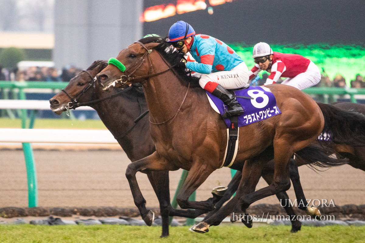 競馬写真】2018年 第63回有馬記念(GI) ブラストワンピース